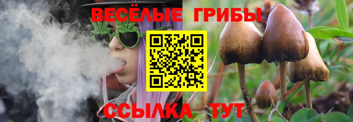 Псилоцибиновые грибы мухоморы Донской