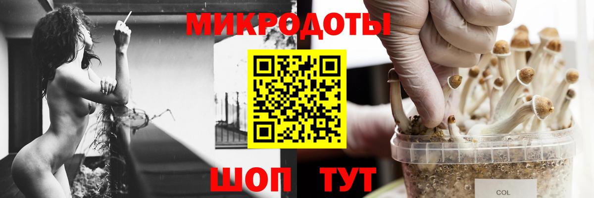 продажа наркотиков  Галлюциногенные грибы Psilocybe  Вход с VPN  Донской 